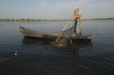 ROMANIA, Tulcea, Danube Delta Biosphere Reserve, Professional fisherman in canoe on Lake Isac