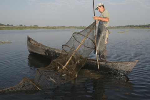 ROMANIA, Tulcea, Danube Delta Biosphere Reserve, Professional fisherman in canoe on Lake Isac
