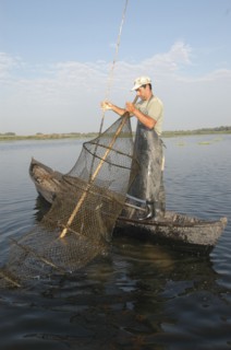 ROMANIA, Tulcea, Danube Delta Biosphere Reserve, Professional fisherman in canoe on Lake Isac