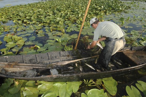 ROMANIA, Tulcea, Danube Delta Biosphere Reserve, Professional fisherman in canoe on Lake Isac