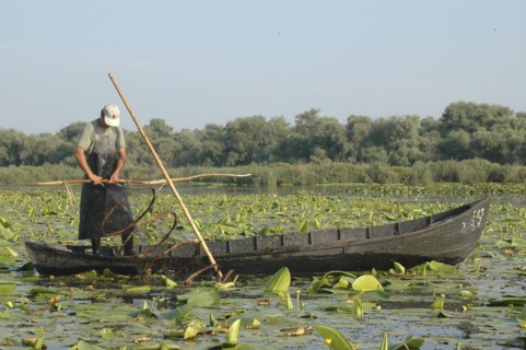ROMANIA, Tulcea, Danube Delta Biosphere Reserve, Professional fisherman in canoe on Lake Isac