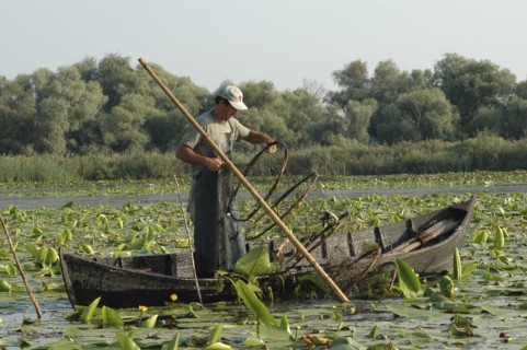 ROMANIA, Tulcea, Danube Delta Biosphere Reserve, Professional fisherman in canoe on Lake Isac