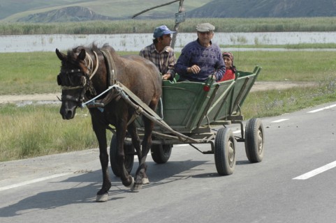 ROMANIA, Northern Dobtuja, Harsova, Traditional horse drawn cart carring people along the road