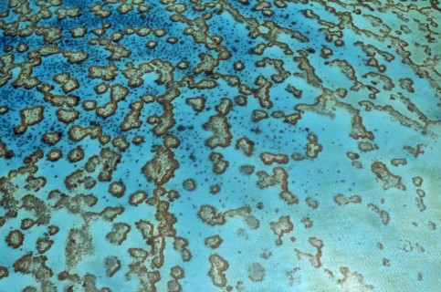 AUSTRALIA, Queensland, Great Barrier Reef, Coral Islaets of the Capricorn group