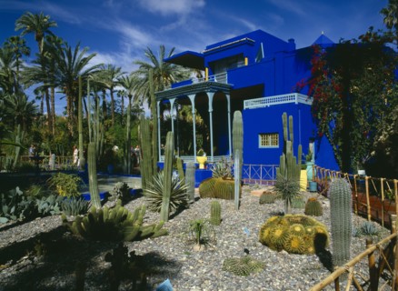 MOROCCO, Marrakech, Jardin Majorelle. Colbolt blue building surrounded by a garden of palm trees