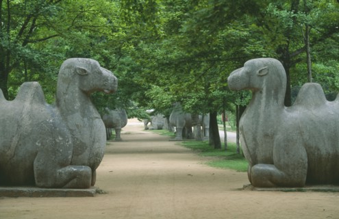 CHINA, Jiangsu, Zinjinshan, Pair of camels in avenue of animal statues at the Ming Tomb of Hong Wu