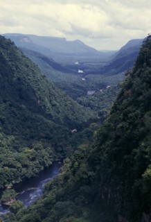 GUYANA, Amazon, Kaieteur NP, River valley with tropical forest covering steep sides