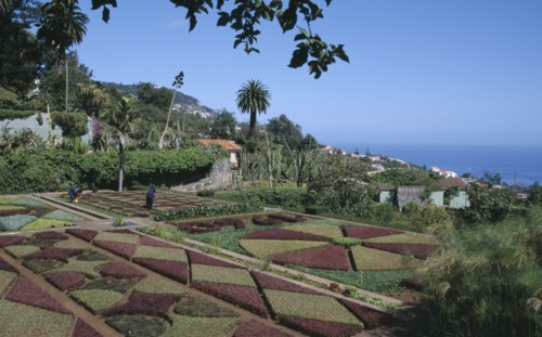 PORTUGAL, Madiera, Jardim Botanico botanical gardens near Funchal