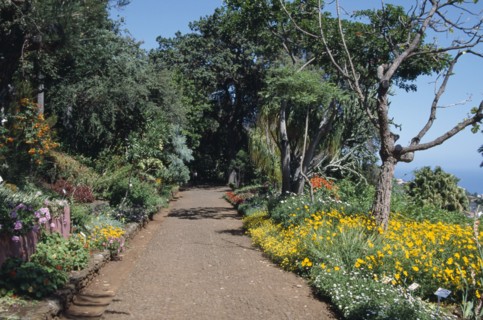 PORTUGAL, Madiera, Jardim Bontanico botanical gardens near Funchal