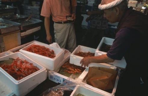 JAPAN, Honshu, Tokyo, Tsukiji Fish Market with crates of prawns