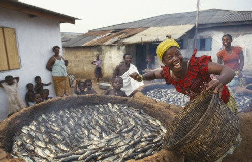 GHANA, General, Laughing woman smoking fish over mud brick ovens