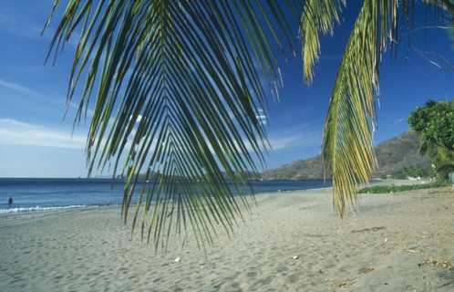 COSTA RICA, Guanacaste Province, Playa Hermosa, Sandy resort beach partly framed by palm fronds.