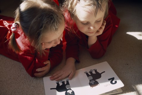 EDUCATION, Children, Reading, Two toddlers lying on the floor in a sunlit room looking at a book