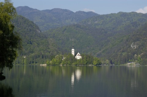 SLOVENIA, Lake Bled, View over the lake toward Bled Island and tower of the Church of the