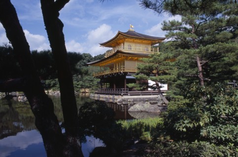 JAPAN, Honshu, Kyoto, Kinkaku Ji Temple aka the Golden Pavilion seen through trees