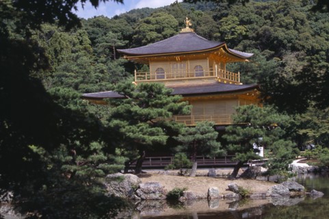 JAPAN, Honshu, Kyoto, Kinkaku Ji Temple aka the Golden Pavilion seen through trees