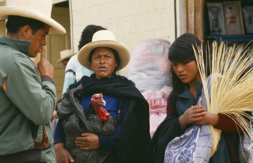 PERU, Cajamarca, Celendin, "Market scene with woman holding turkey, in conversation with man and
