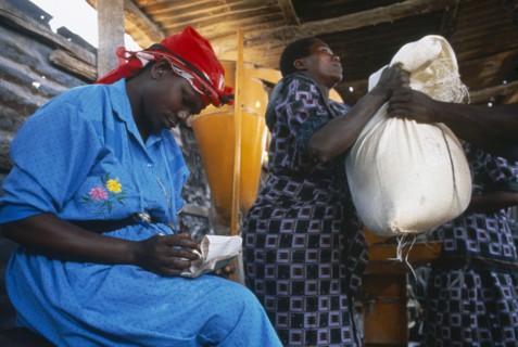 TANZANIA, Food Aid, Women lifting up a sack of food aid next to a woman sat writing on piece of