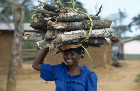 GHANA, People Carrying Goods, Young woman carrying bundle of firewood on her head.
