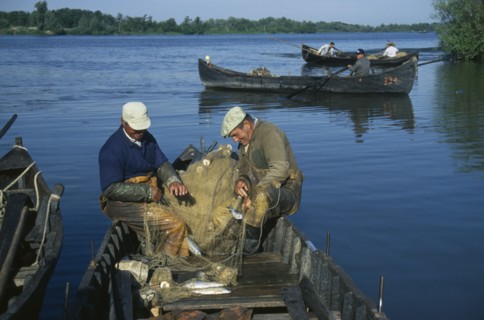 ROMANIA, Danube Delta, Fishermen in wooden rowing boat with catch.