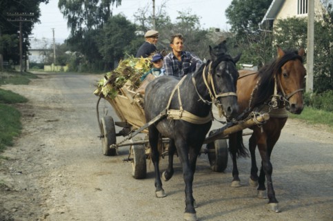 UKRAINE, Ivano Frankivsk, Men and child in horse drawn wooden cart.