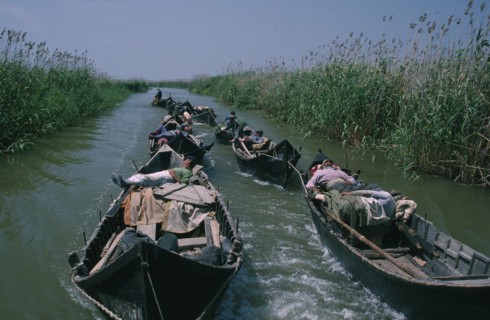 ROMANIA, Danube Delta, Sturgeon fishermen in shallow wooden boats linked to each other by rope