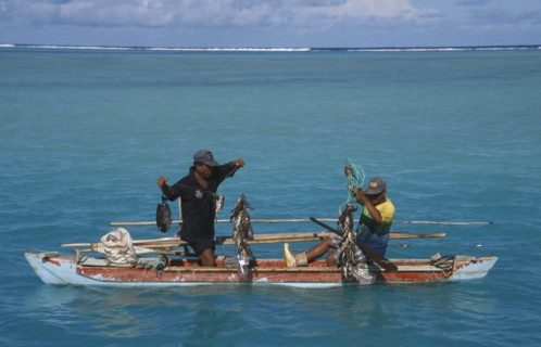 PACIFIC ISLANDS, Polynesia, Cook Islands, Aitutaki Lagoon.  Fishermen in wooden canoe pulling up
