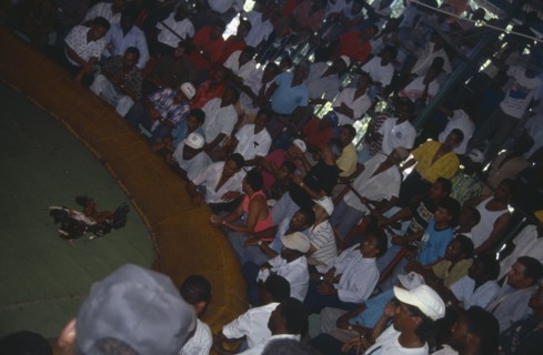 WEST INDIES, Dominican Republic, Angled view of cockfight and spectators.