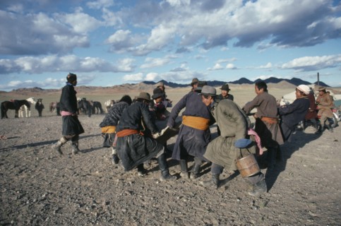 MONGOLIA, Southern Gobi, Men stretching felt for a yurt as part of a traditional wedding ceremony.