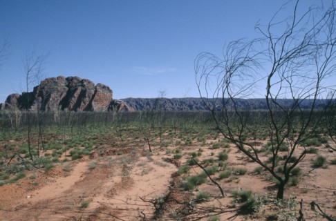 AUSTRALIA, Western Australia, The Kimberley, Purnululu or Bungle Bungle National Park.  Rocky
