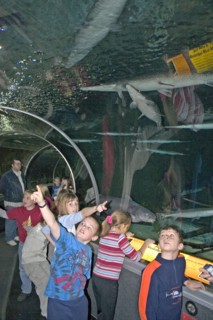 USA, Minnesota, Bloomington, "School children on excursion viewing Longnose Gar Lepisosteus osseus