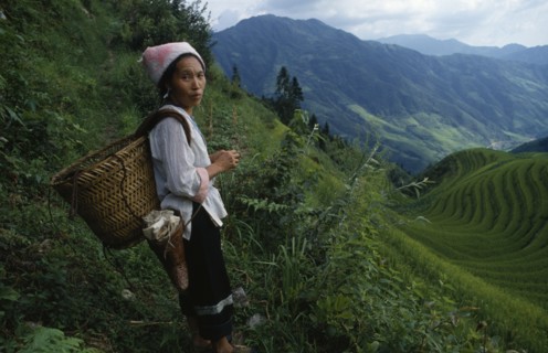 CHINA, Guangxi Province, Longsheng, Woman on steep pathway above rice terraces carrying woven