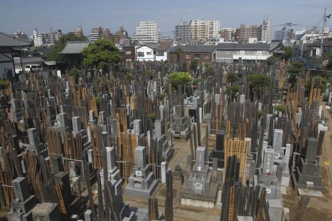 JAPAN, Honshu, Tokyo, Yanaka. View over the cemetary of Shoyomei-ji Temple closely surrounded by