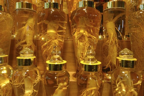 KOREA, Seoul, Namdaemun Market on a cold December night. Whole ginseng root on display in glass