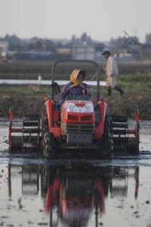 JAPAN, Chiba, Tako, "Mr. and Mrs. Katsumata, both over 70 years old, prepare rice field in spring,