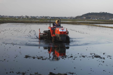 JAPAN, Chiba, Tako, "Mrs. Katsumata, over 70 years old, drives tractor preparing rice field in