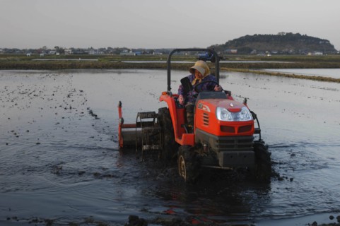 JAPAN, Chiba, Tako, "Mrs. Katsumata, over 70 years old, drives tractor preparing rice field in
