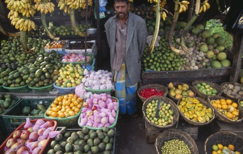 SRI LANKA, Haputale, Fruit stall and vendor.