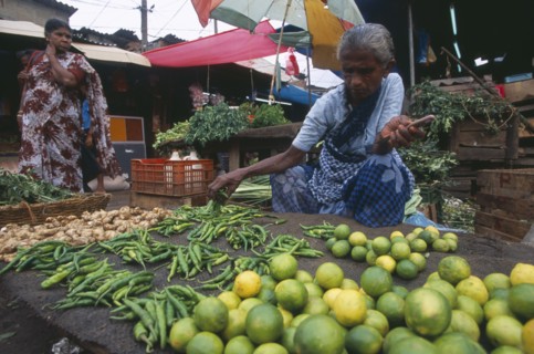 SRI LANKA, Colombo, "Pettah District. Female vendor selling limes, green chillies and vegetables"