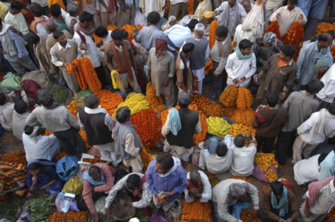 INDIA, Uttar Pradesh, Varanasi, View looking down on busy flower market with a majority of male