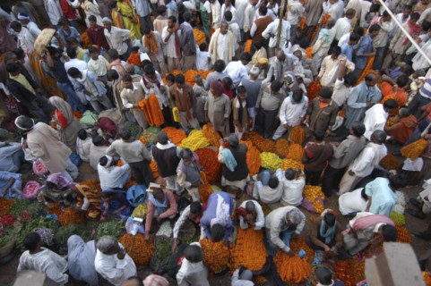 INDIA, Uttar Pradesh, Varanasi, View looking down on busy flower market with a majority of male