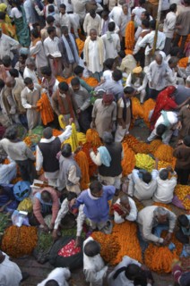 INDIA, Uttar Pradesh, Varanasi, View looking down on busy flower market with a majority of male