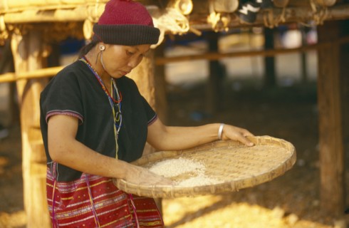 THAILAND, Chiang Mai, Sgaw Karen woman using a bamboo tray to sift pounded rice