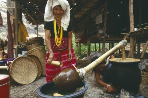 THAILAND, Chiang Mai Province, Sgaw Karen woman brewing rice liquor