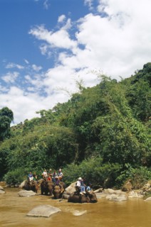 THAILAND, Chiang Mai Province, Western tourists riding elephants in the Mae Taeng River