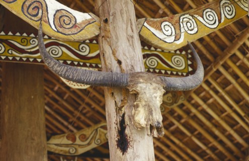 MYANMAR, Kachin State, Near Myitkyina, Jinghpaw ceremonial house interior detail of decoration and