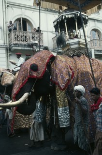 SRI LANKA, Kandy, Esala Perahera festival parade with decorated elephant carrying replica of the
