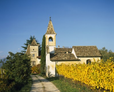 ITALY, Trentino Alto Adige, Appiano, Farmhouse and chapel in vineyard.