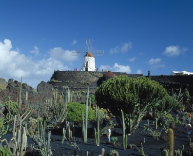 SPAIN, Canary Islands, Lanzarote, Guatiza.  Visitors in cactus garden growing in black volcanic