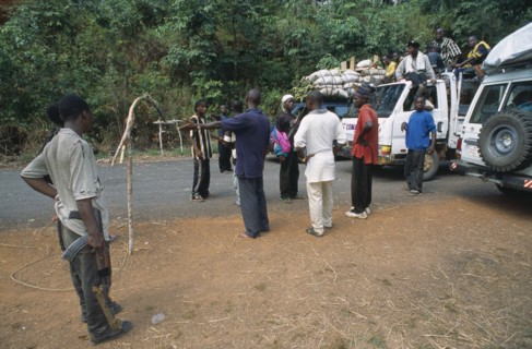 LIBERIA   , Bong, Gbarnga, Trucks stopped at roadblock in area under control of militia forces.